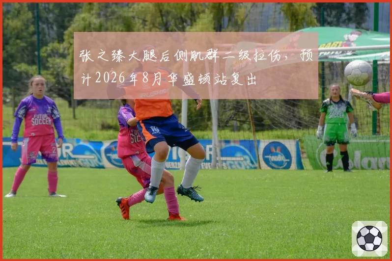 张之臻大腿后侧肌群二级拉伤，预计2026年8月华盛顿站复出