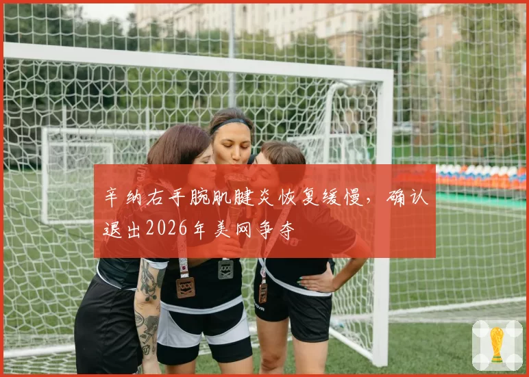 辛纳右手腕肌腱炎恢复缓慢，确认退出2026年美网争夺