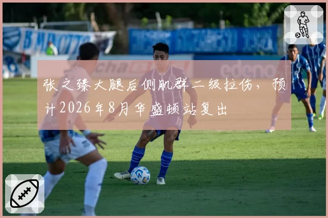 张之臻大腿后侧肌群二级拉伤,预计2026年8月华盛顿站复出